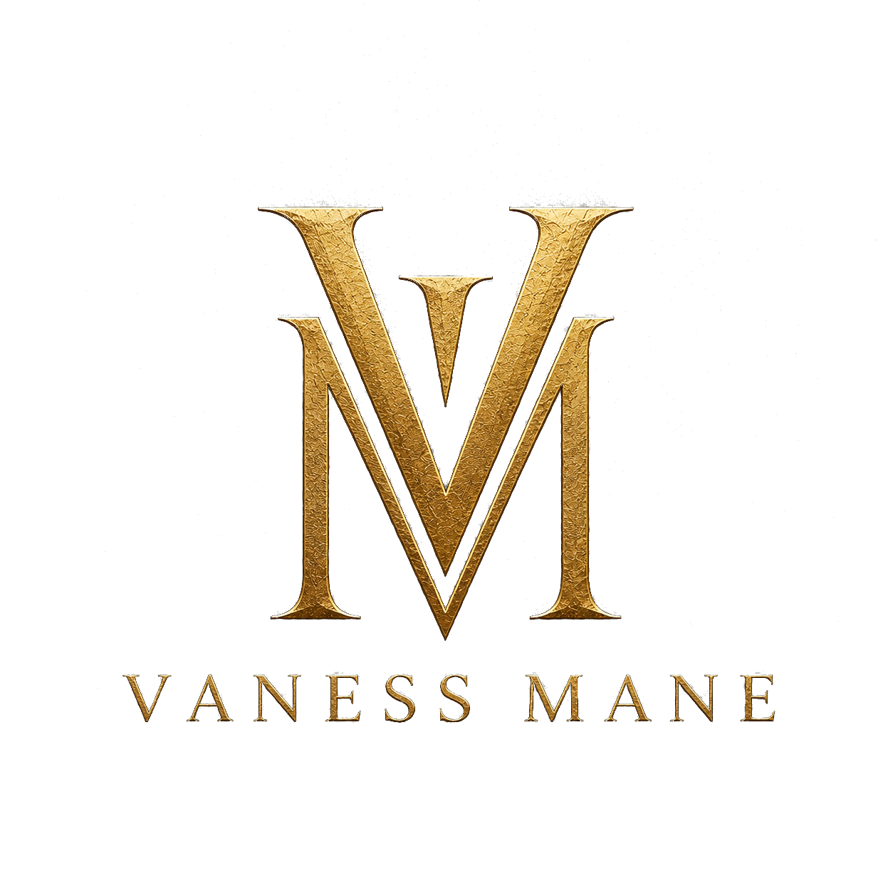 VM logo